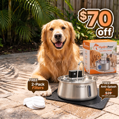 HydroPaws™ – The Wireless Smart Dog Fountain