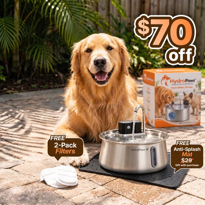 HydroPaws™ Dog Water Fountain