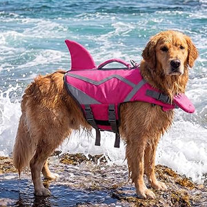 HydroPaws™ - The Smart Filtered Dog Fountain