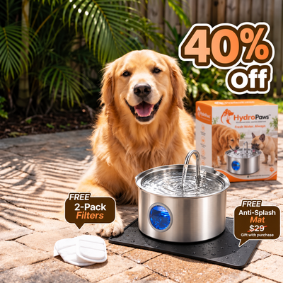 HydroPaws™ Dog Water Fountain