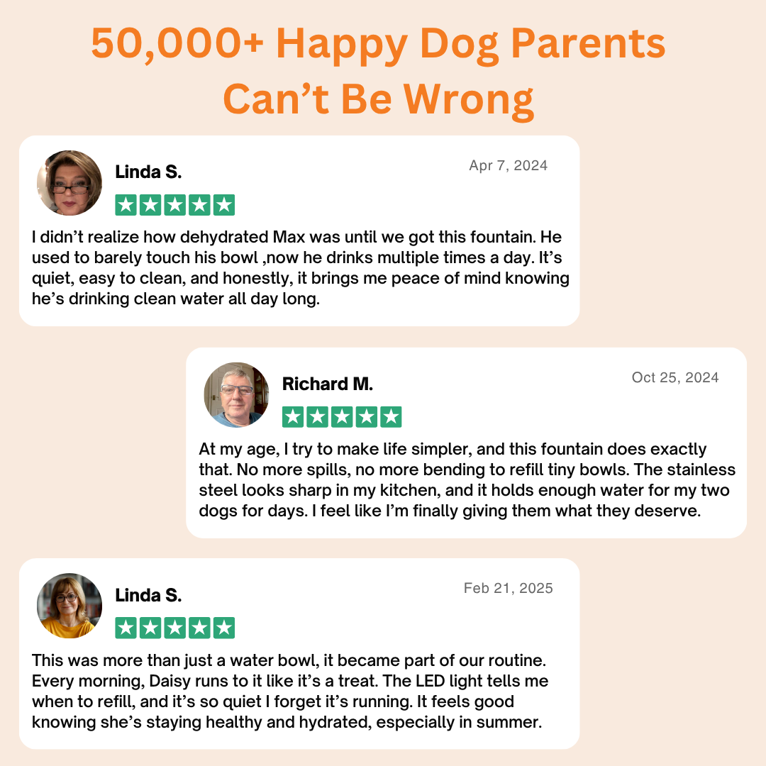 HydroPaws™ - The Smart Filtered Dog Fountain