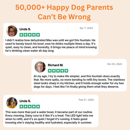 HydroPaws™ - The Smart Filtered Dog Fountain