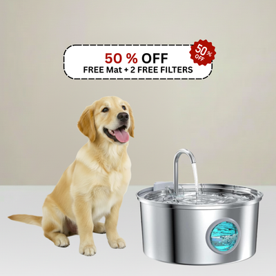 HydroPaws™ - The Smart Filtered Dog Fountain