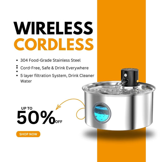 HydroPaws™ – The Wireless Smart Dog Fountain