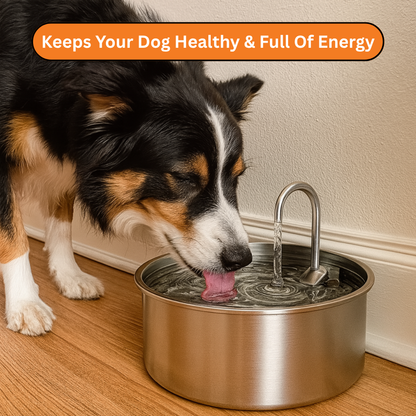 HydroPaws™ - The Smart Filtered Dog Fountain