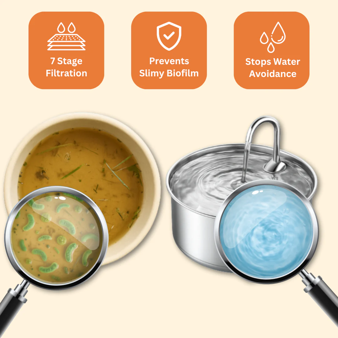 HydroPaws™ - The Smart Filtered Dog Fountain