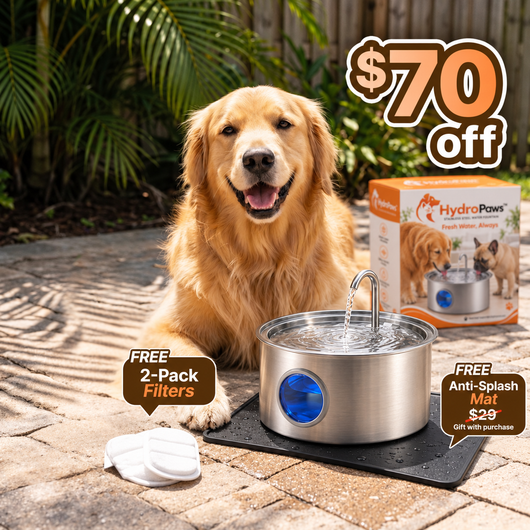 HydroPaws™ Dog Water Fountain