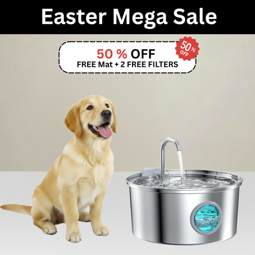 HydroPaws™ - The Smart Filtered Dog Fountain