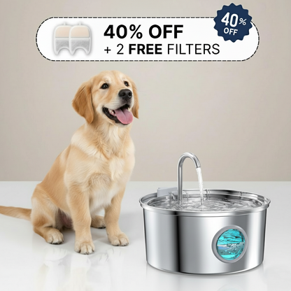 HydroPaws™ - The Smart Filtered Dog Fountain