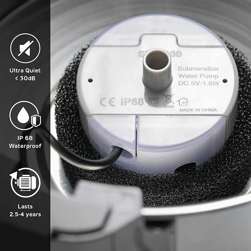 Water Pump Replacement