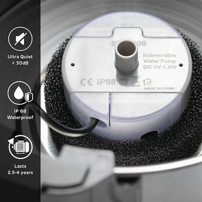 Water Pump Replacement