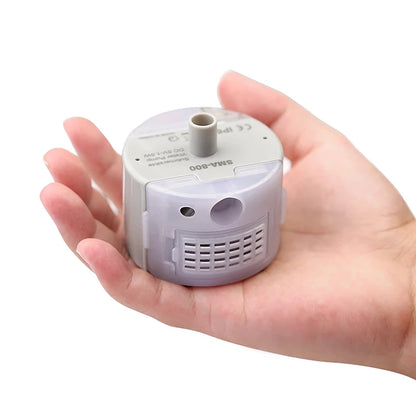 Water Pump Replacement