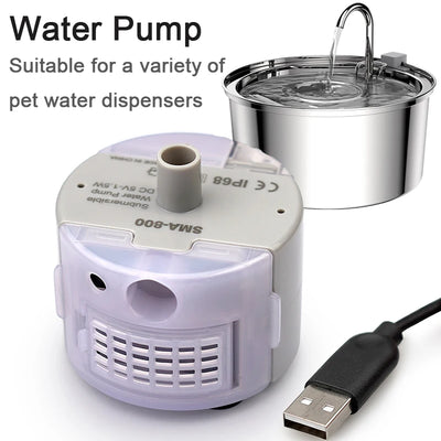 Water Pump Replacement